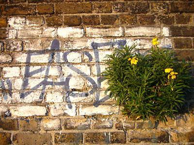 graffito of word EASE