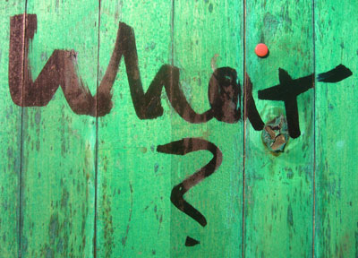 green plank noticeboard with word What? spray-painted on it